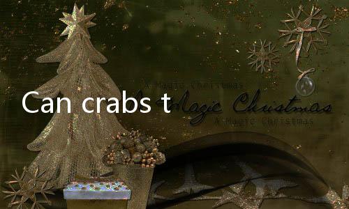 【Live Casino India】Can crabs that spit bubbles still be eaten?